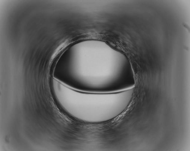 X0000097830150200803140836