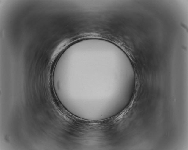 X0000097830151200803140836