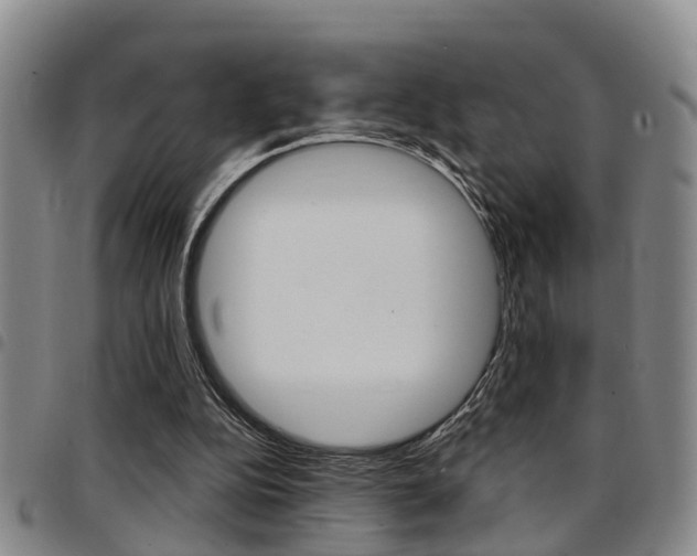 X0000097830152200803140836