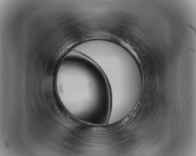 X0000097830154200803140836