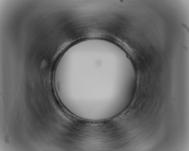 X0000097830155200803140836