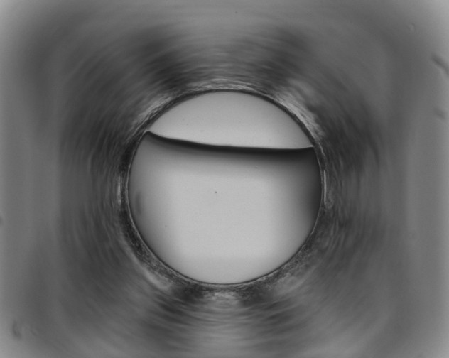 X0000097830157200803140836
