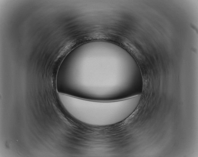 X0000097830158200803140836