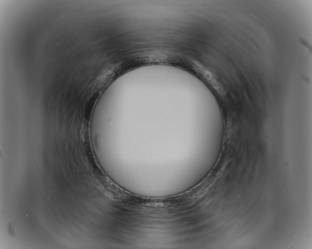 X0000097830161200803140836