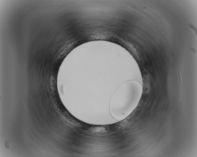 X0000097830162200803140836