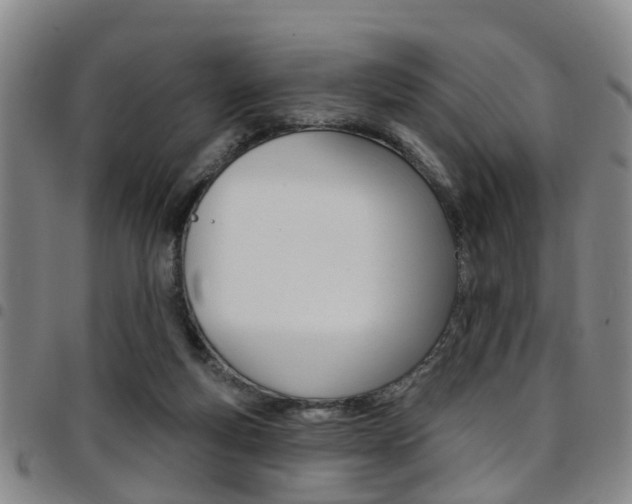 X0000097830163200803140836