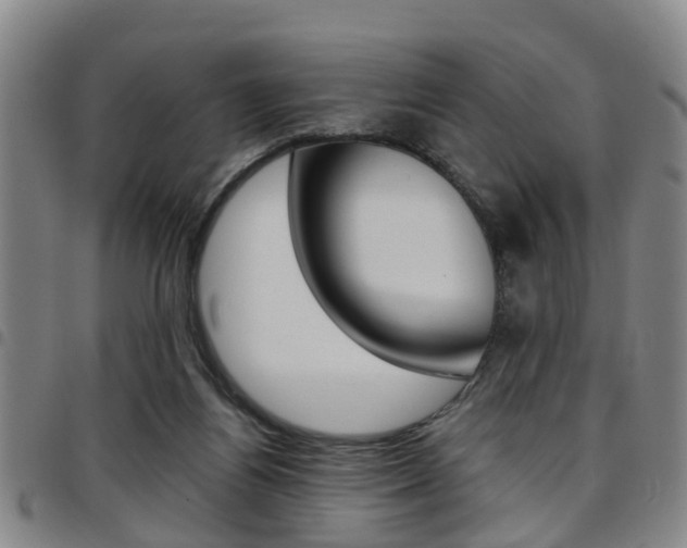 X0000097830164200803140836