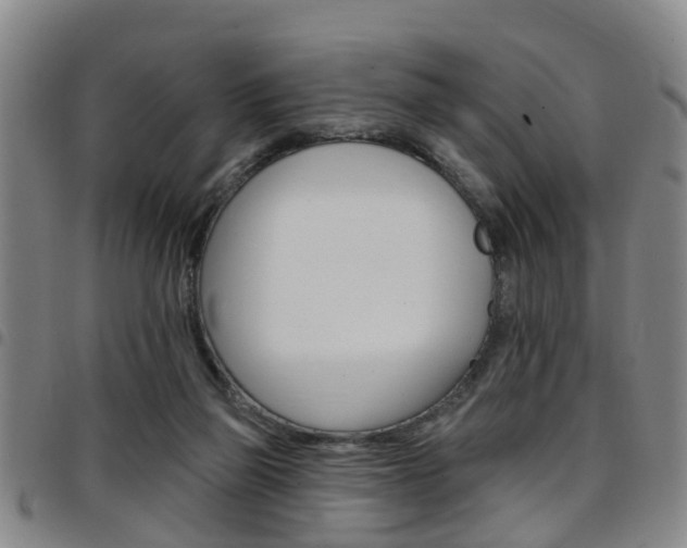 X0000097830165200803140836