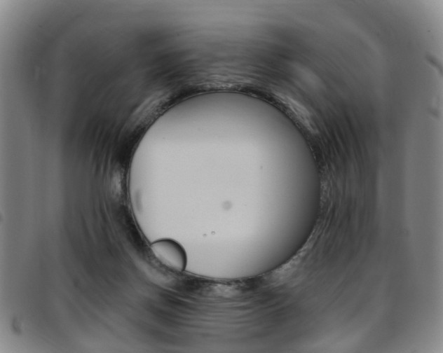 X0000097830166200803140836