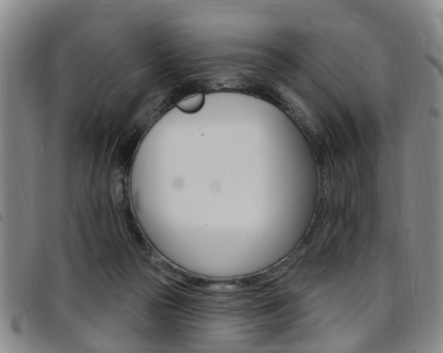 X0000097830169200803140836