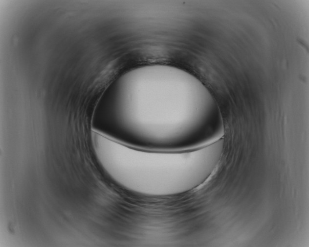 X0000097830170200803140836