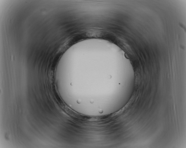 X0000097830171200803140836