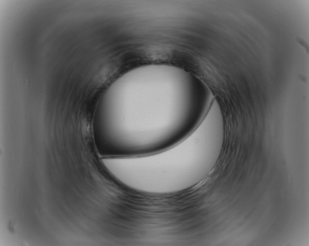 X0000097830176200803140836