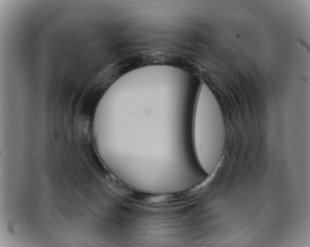 X0000097830178200803140836