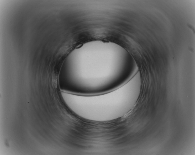 X0000097830180200803140836