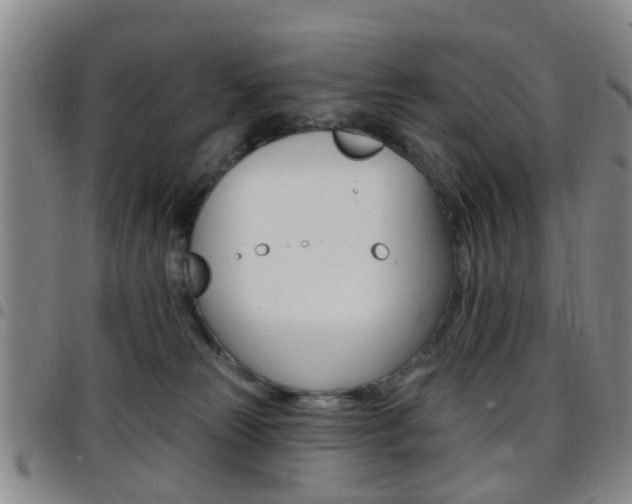 X0000097830181200803140836