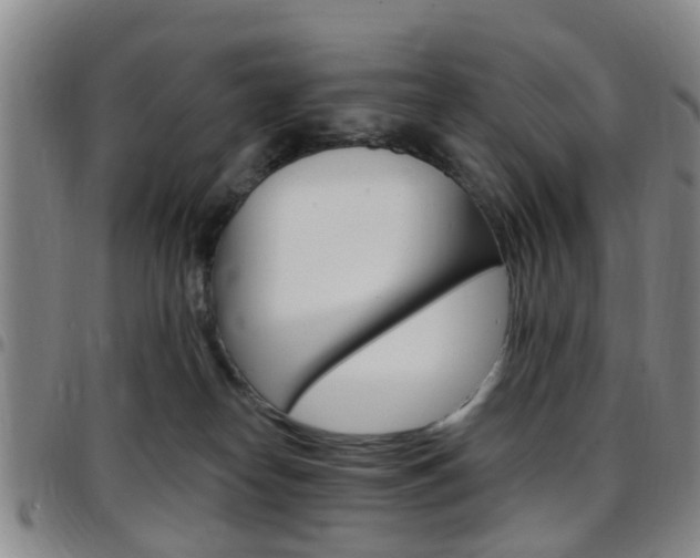 X0000097830182200803140836