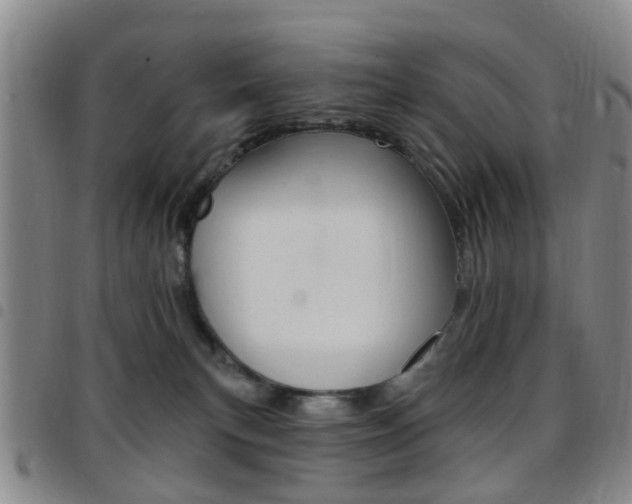 X0000097830183200803140836
