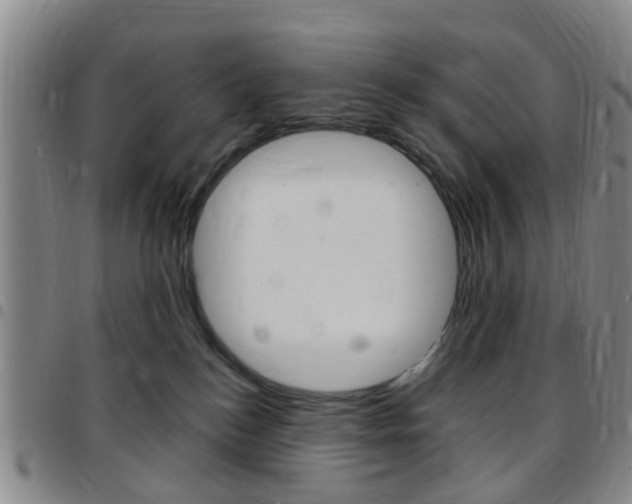 X0000097830184200803140836