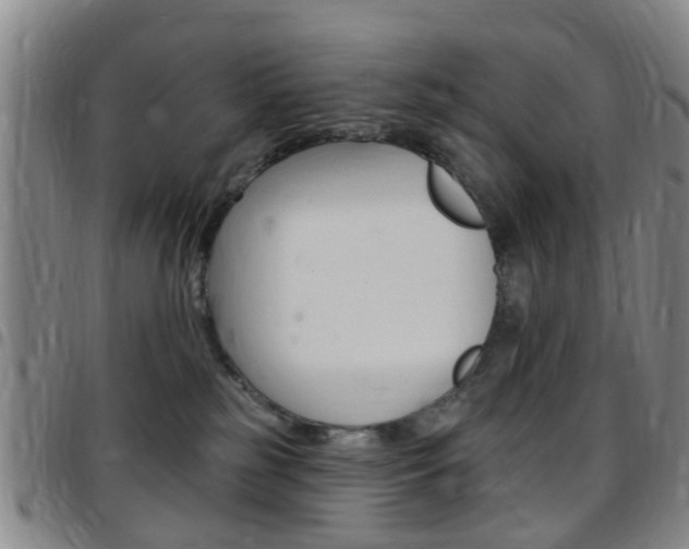 X0000097830185200803140836