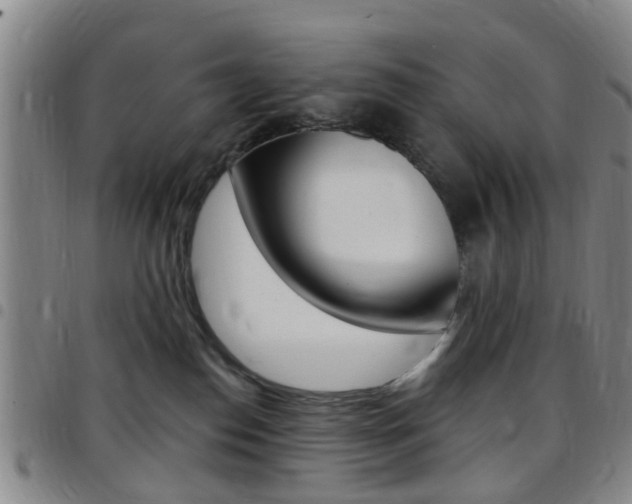 X0000097830186200803140836