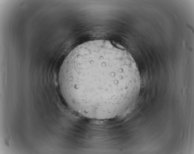 X0000097830187200803140836