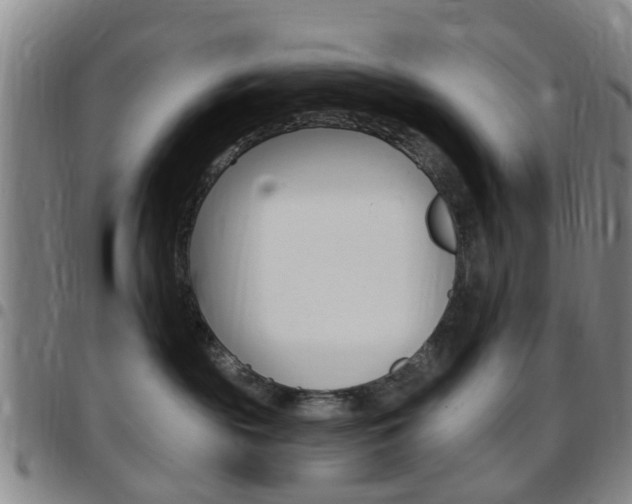 X0000097830189200803140836
