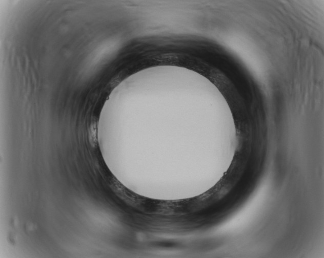 X0000097830190200803140836