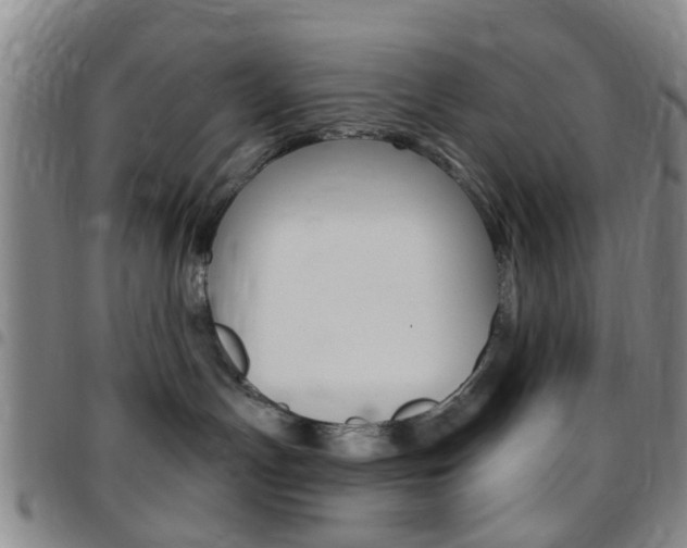 X0000097830191200803140836