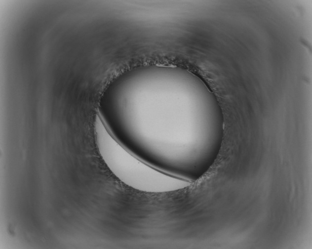 X0000097830192200803140836