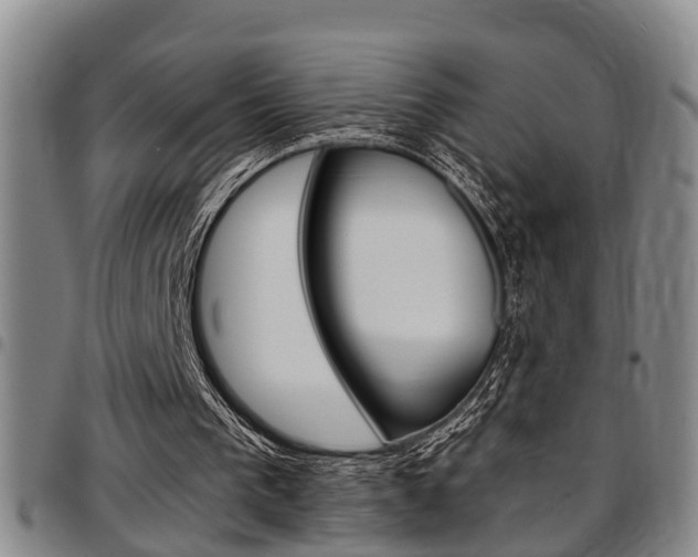 X0000097830193200803140836