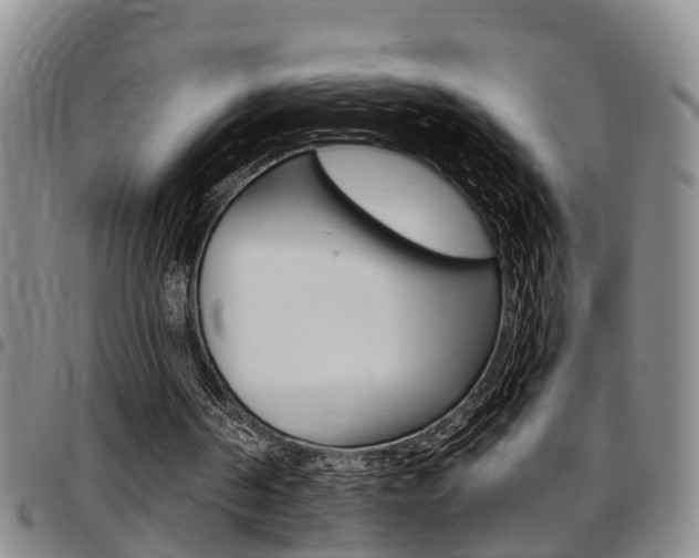 X0000097830194200803140836