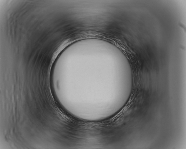 X0000097830195200803140836