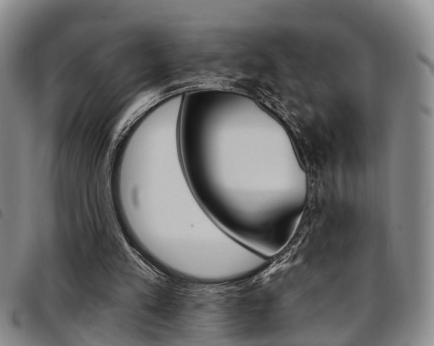 X0000097830197200803140836