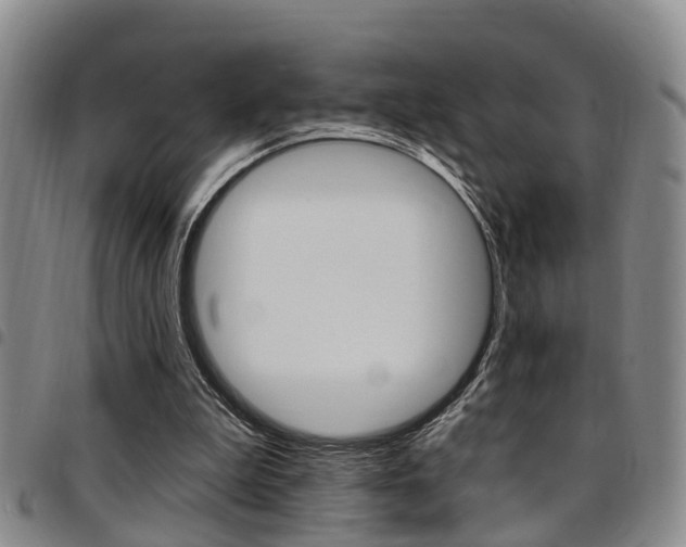X0000097830199200803140835