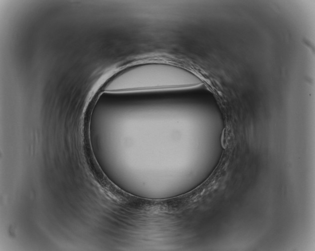 X0000097830200200803140835