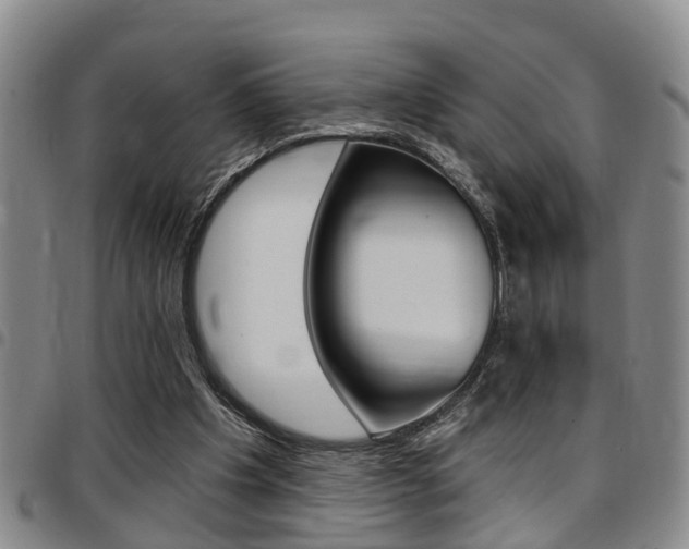 X0000097830201200803140835