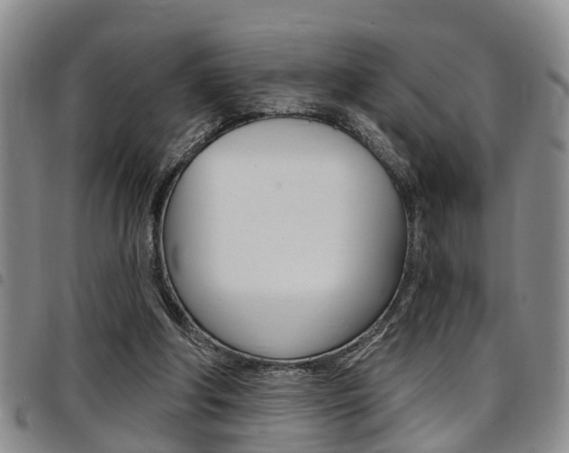 X0000097830202200803140835