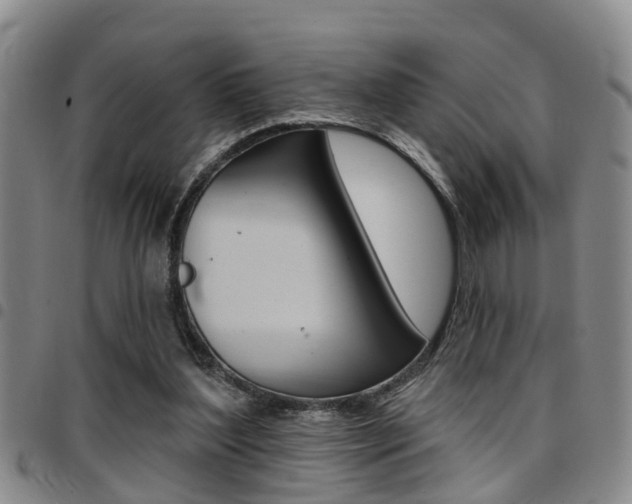 X0000097830204200803140835
