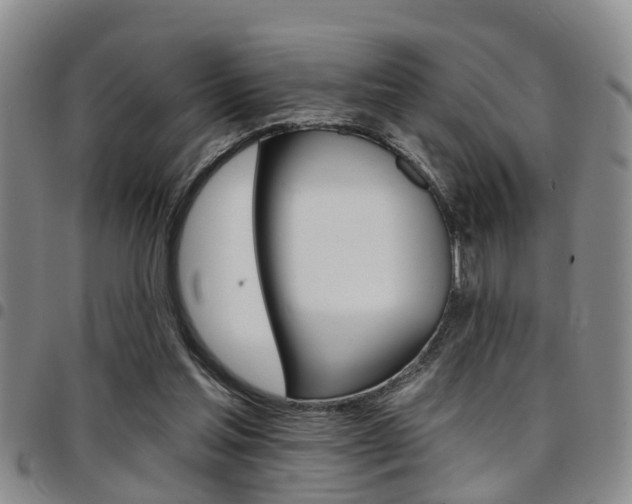 X0000097830205200803140835