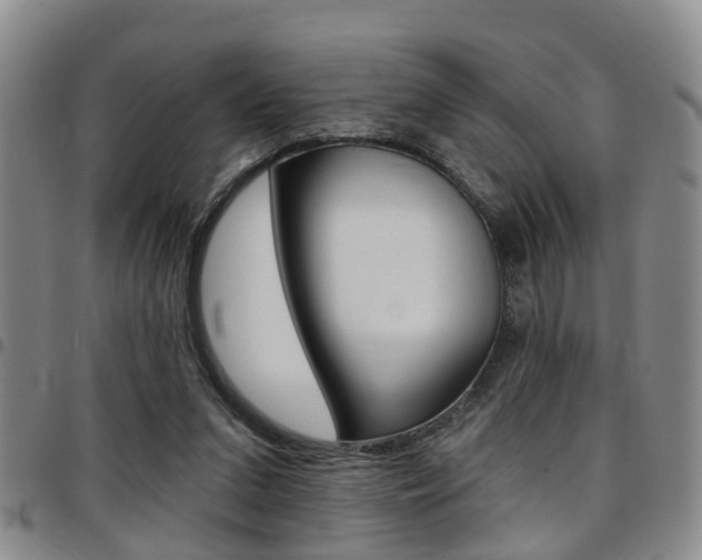 X0000097830207200803140835
