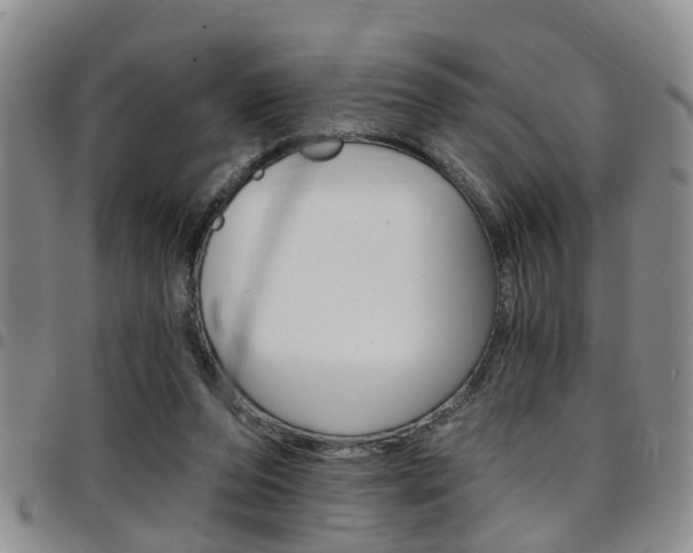 X0000097830208200803140835