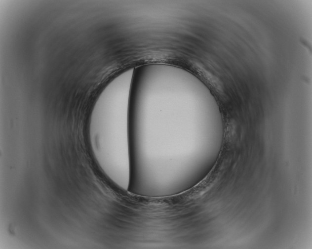 X0000097830209200803140835