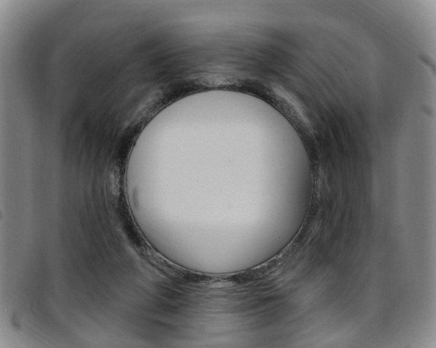X0000097830210200803140835