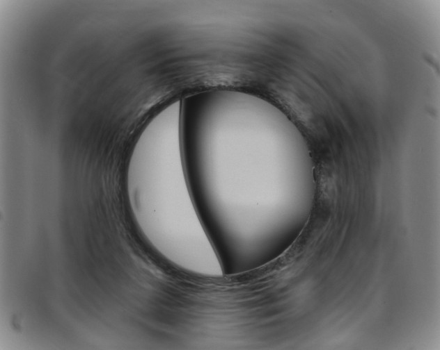 X0000097830211200803140835