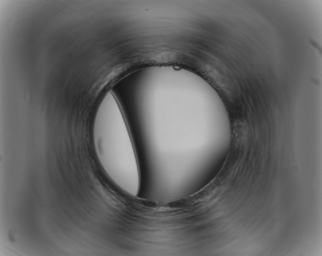 X0000097830212200803140835