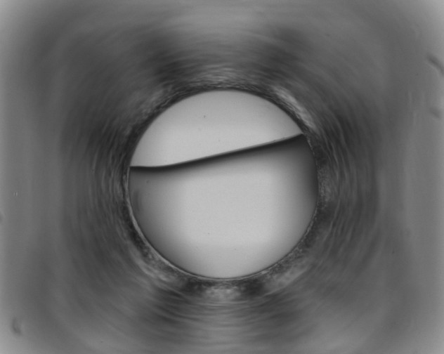 X0000097830213200803140835