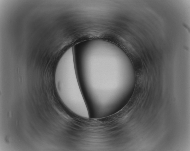 X0000097830215200803140835