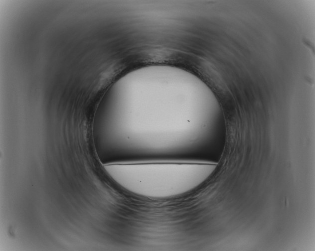 X0000097830216200803140835