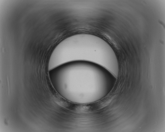 X0000097830217200803140835